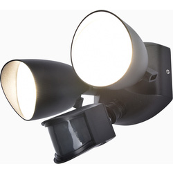 Security Lights